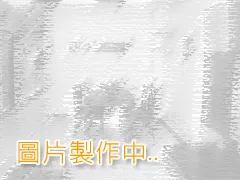 龍校街挑高天車廠房-龍校街
